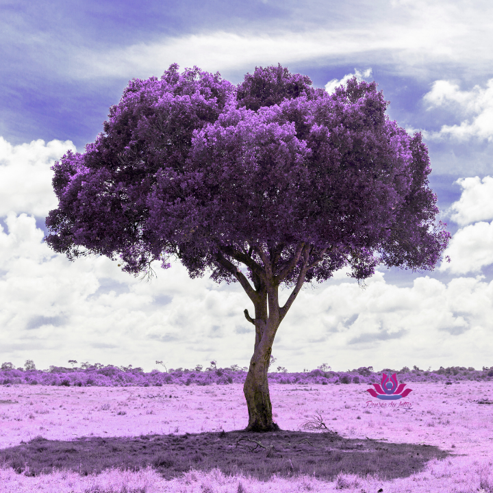 Libération karmique et transgenerationnelle