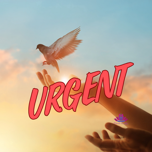 Contact Défunt Urgent