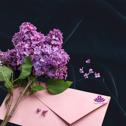 Lettre de votre âme